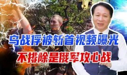 乌俄冲突爆料视频,揭秘爆料视频背后的真相