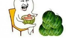 娱乐吃瓜的达人,达人的娱乐吃瓜日记