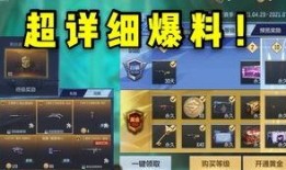 cfm先锋团2021赏金令视频爆料,揭秘神秘任务与精彩对决